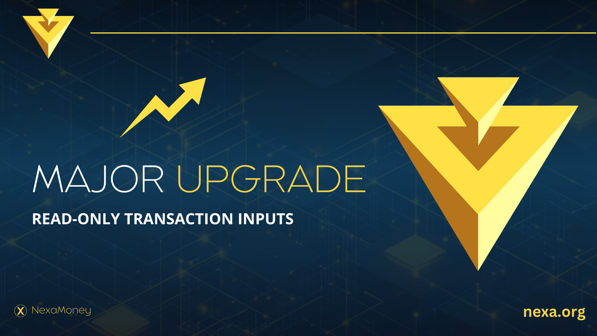 Nexa Takes a Giant Leap with the Power of Read-Only Transaction Inputs - Graphic